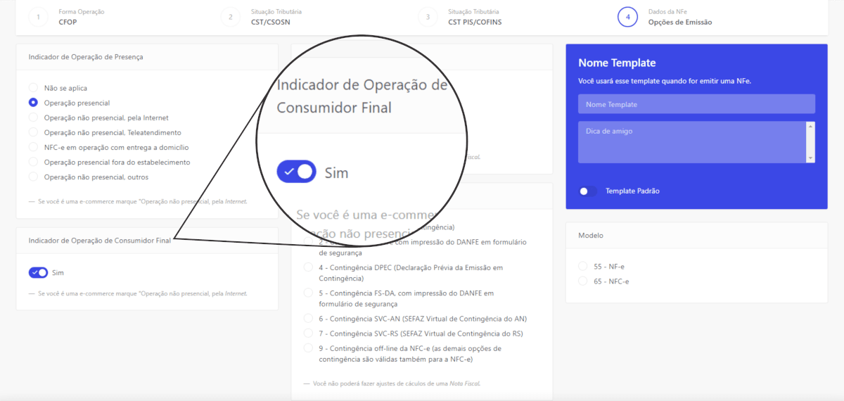Como emitir 01